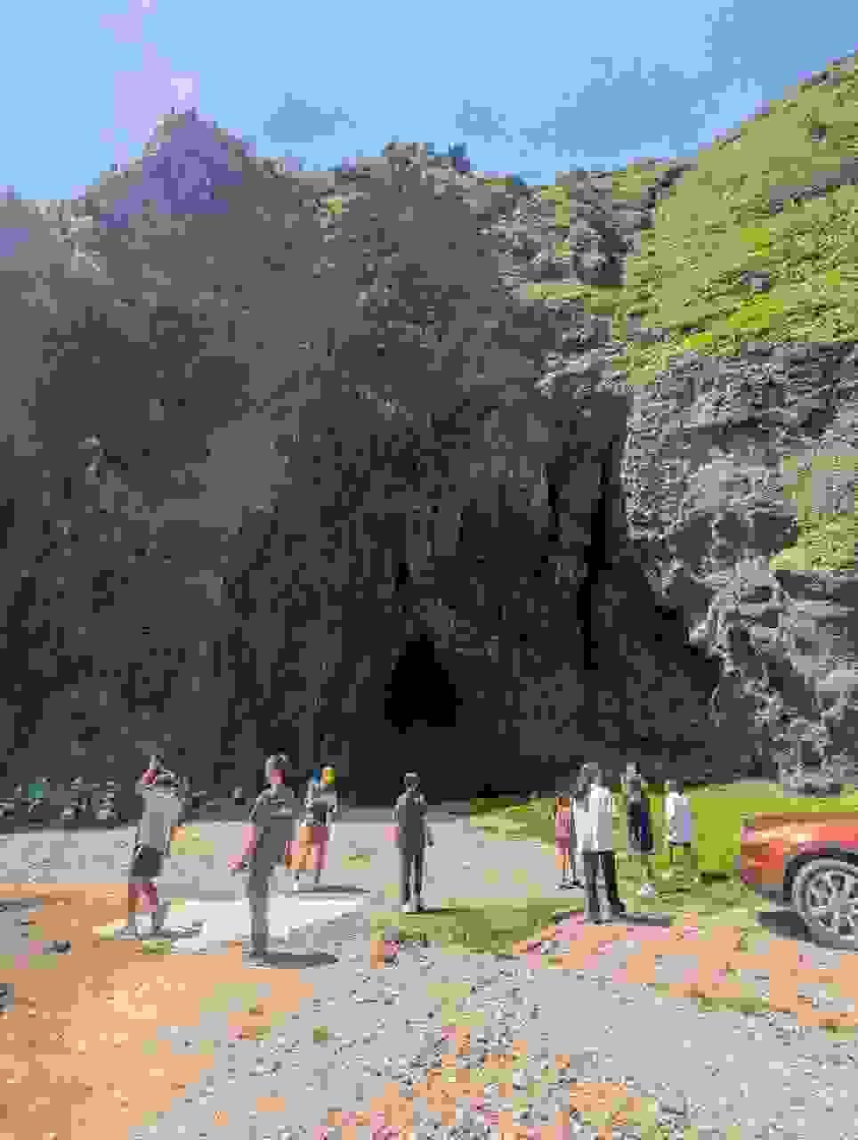 Section image