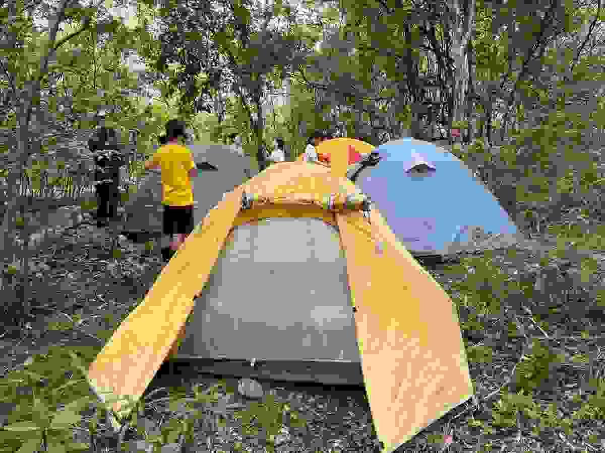 Section image