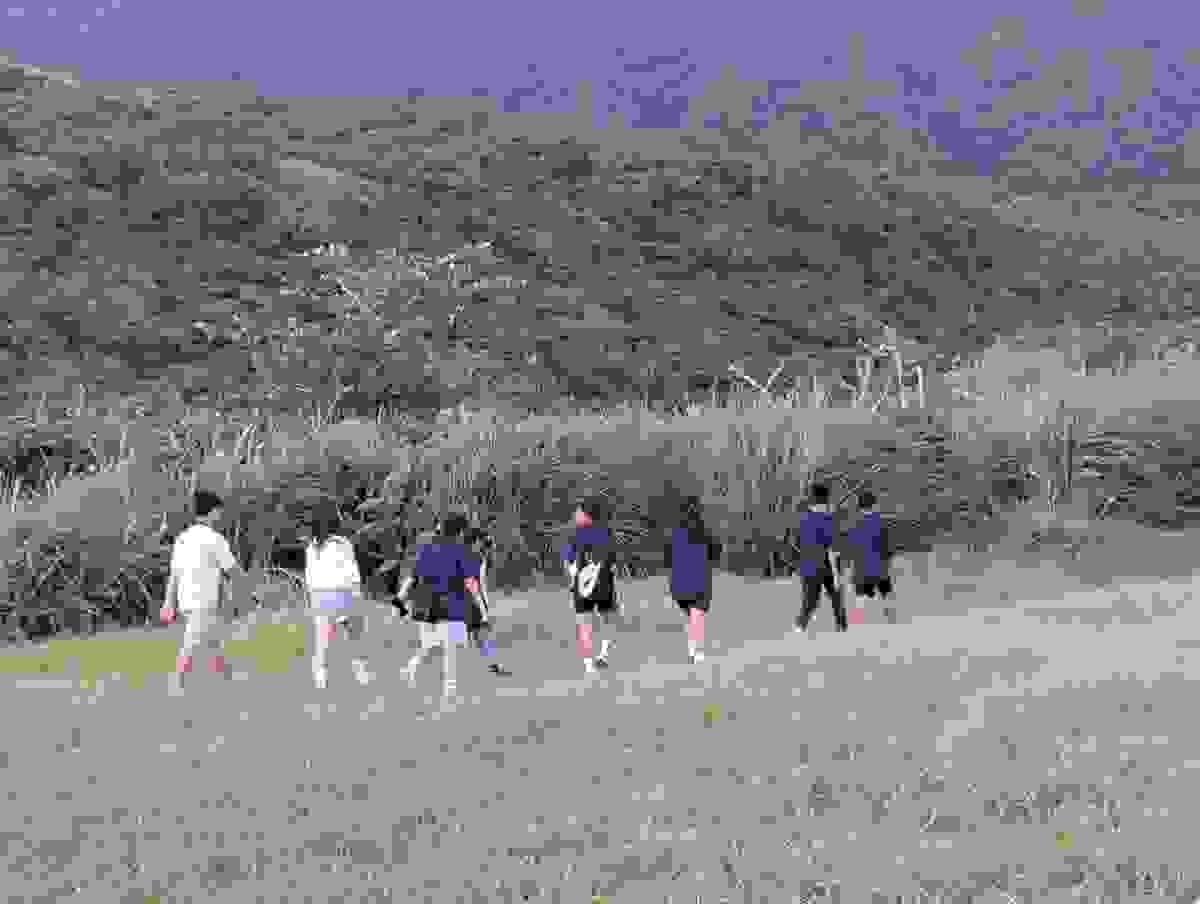 Section image