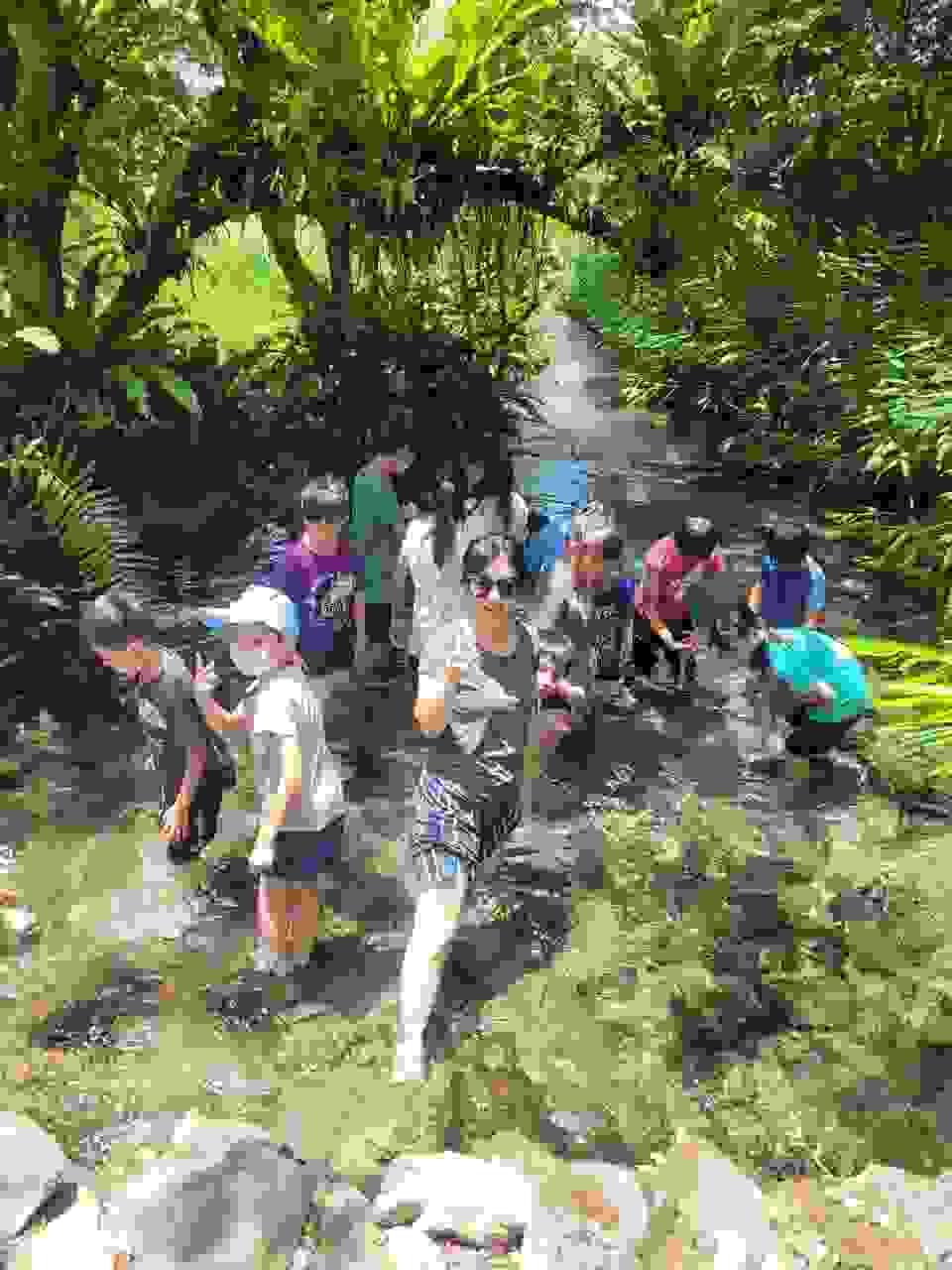 Section image
