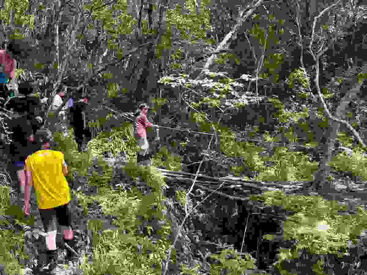 Section image