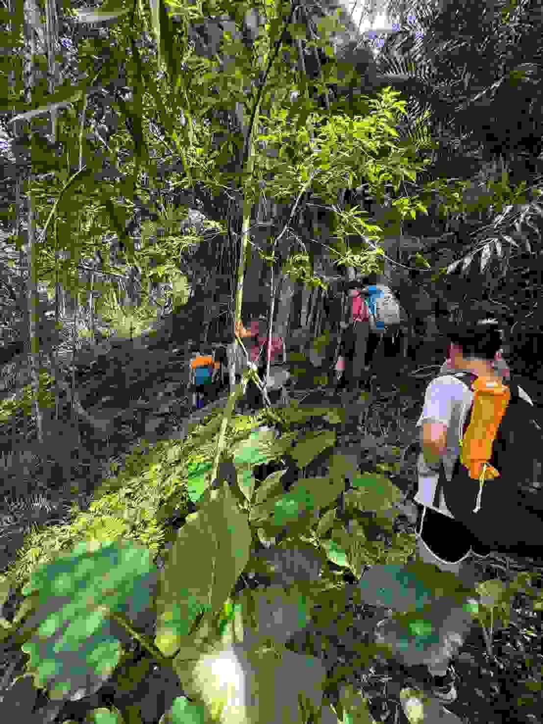 Section image