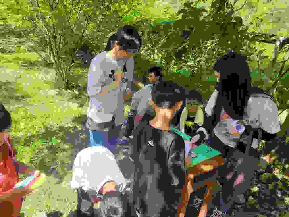 Section image