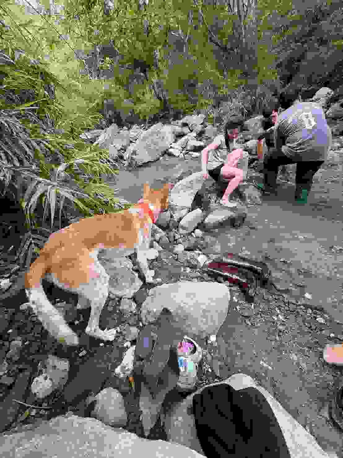 Section image