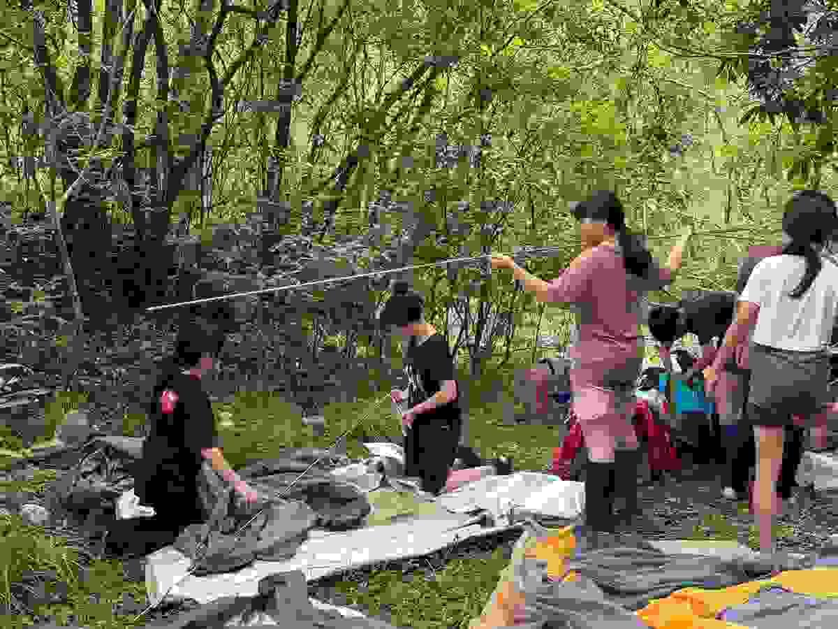 Section image