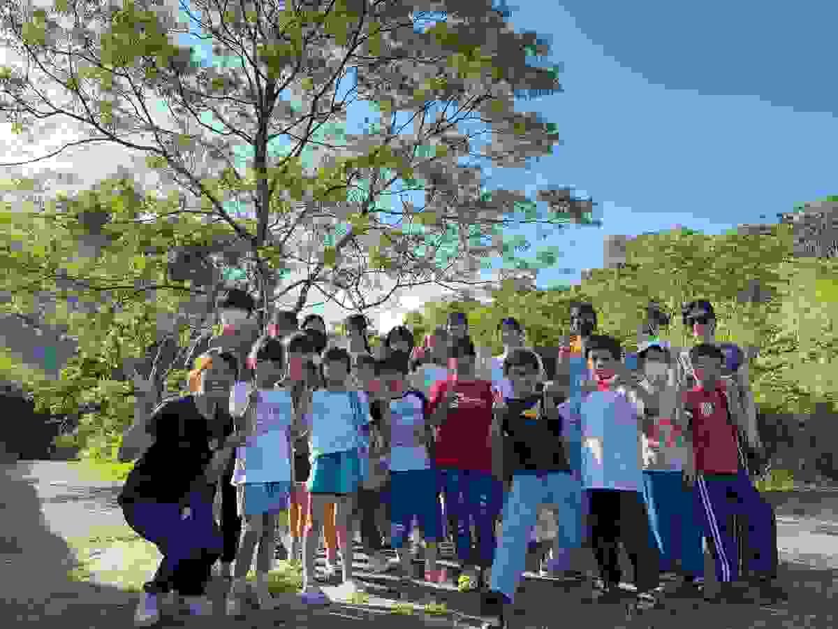 Section image