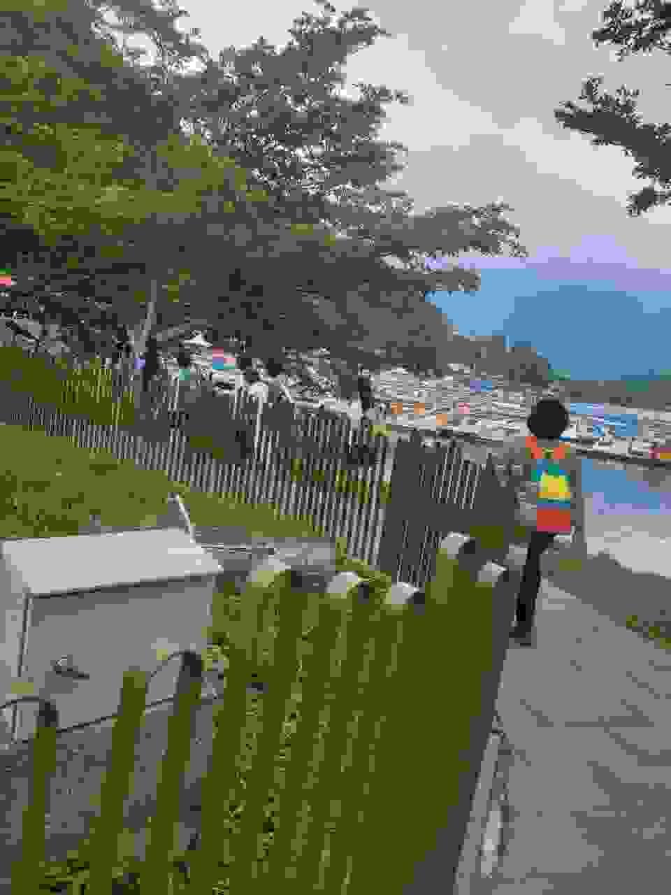 Section image