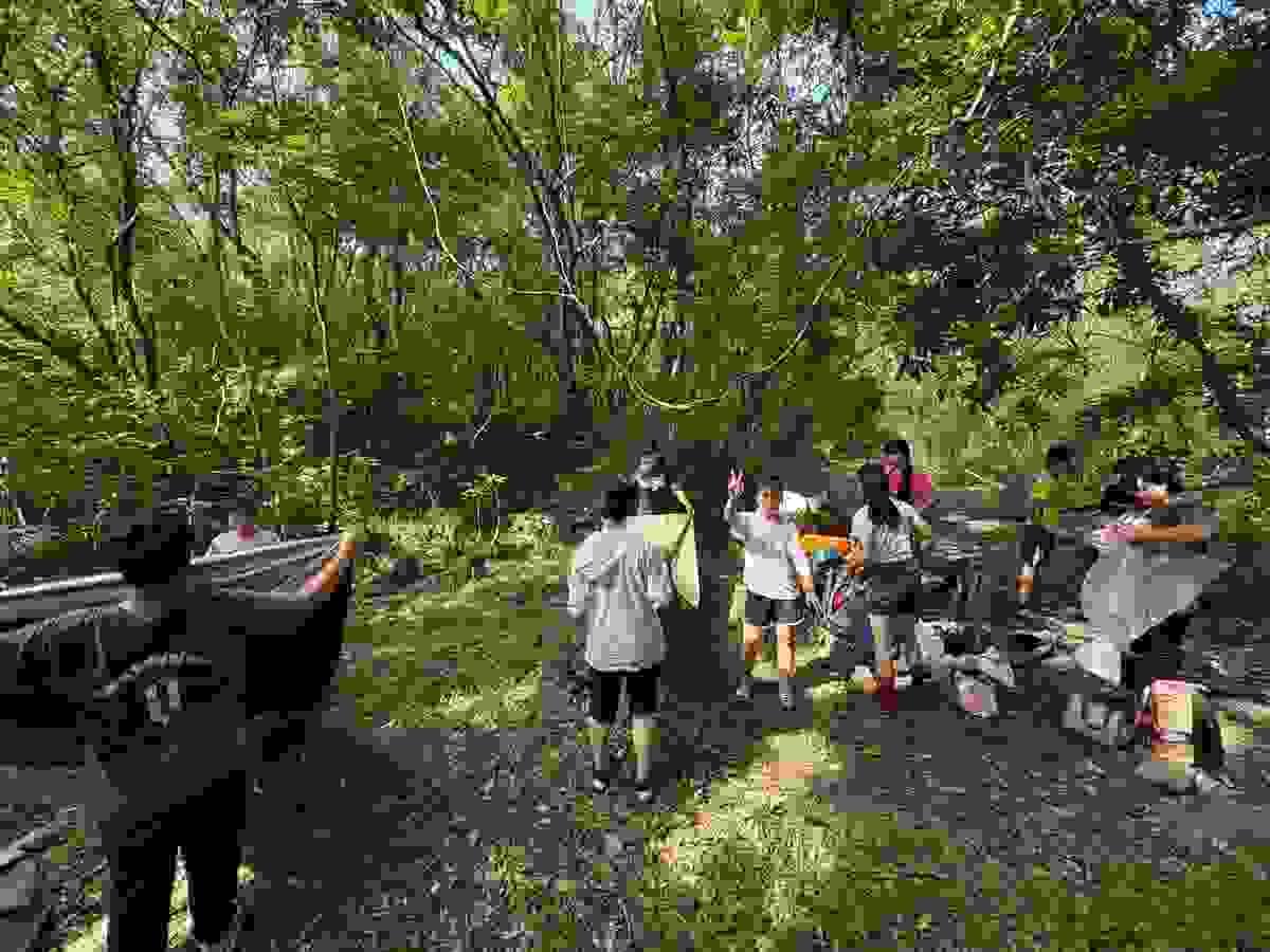 Section image