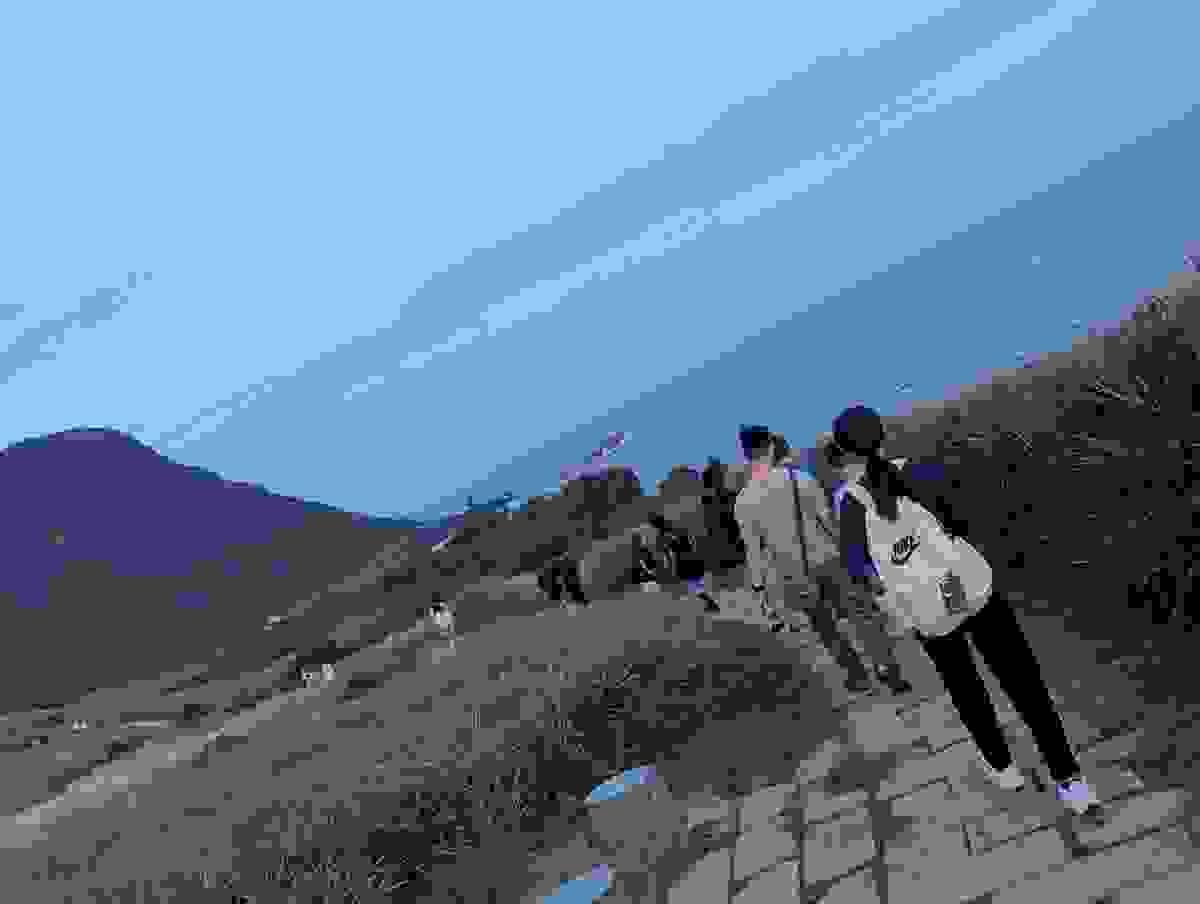 Section image