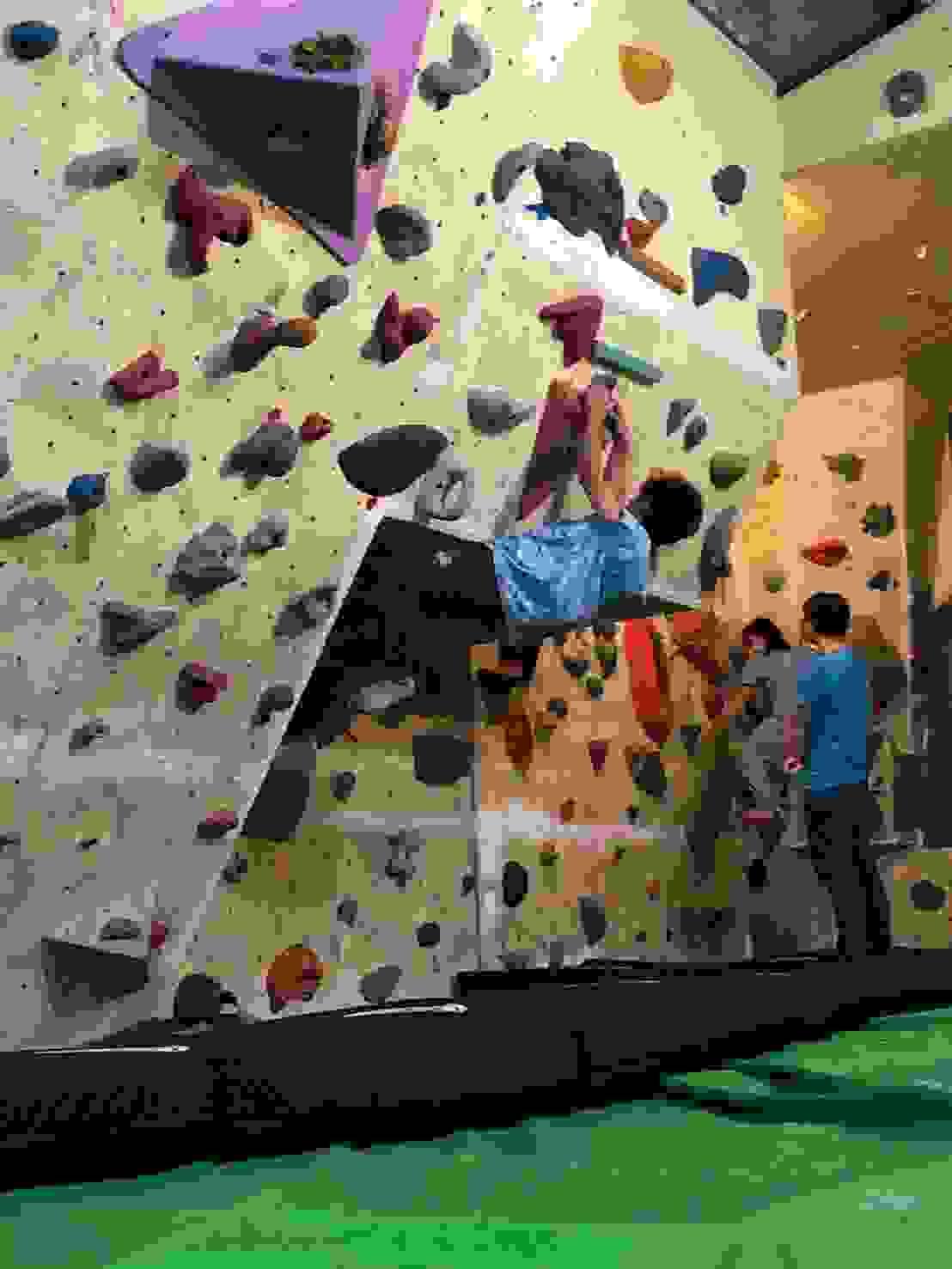 Section image