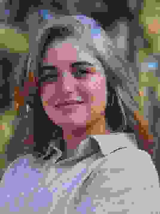 broken image