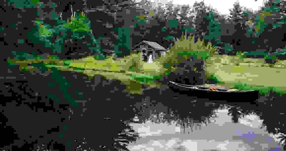 broken image