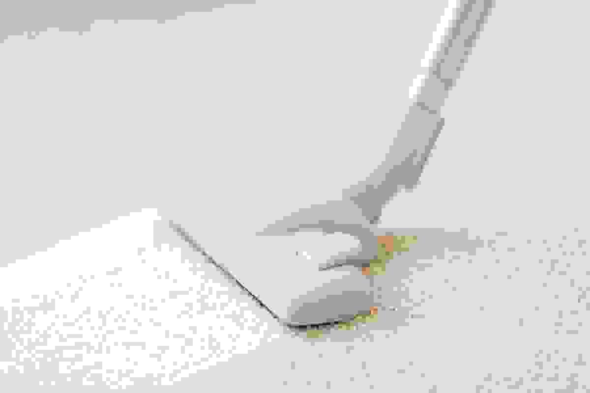 broken image