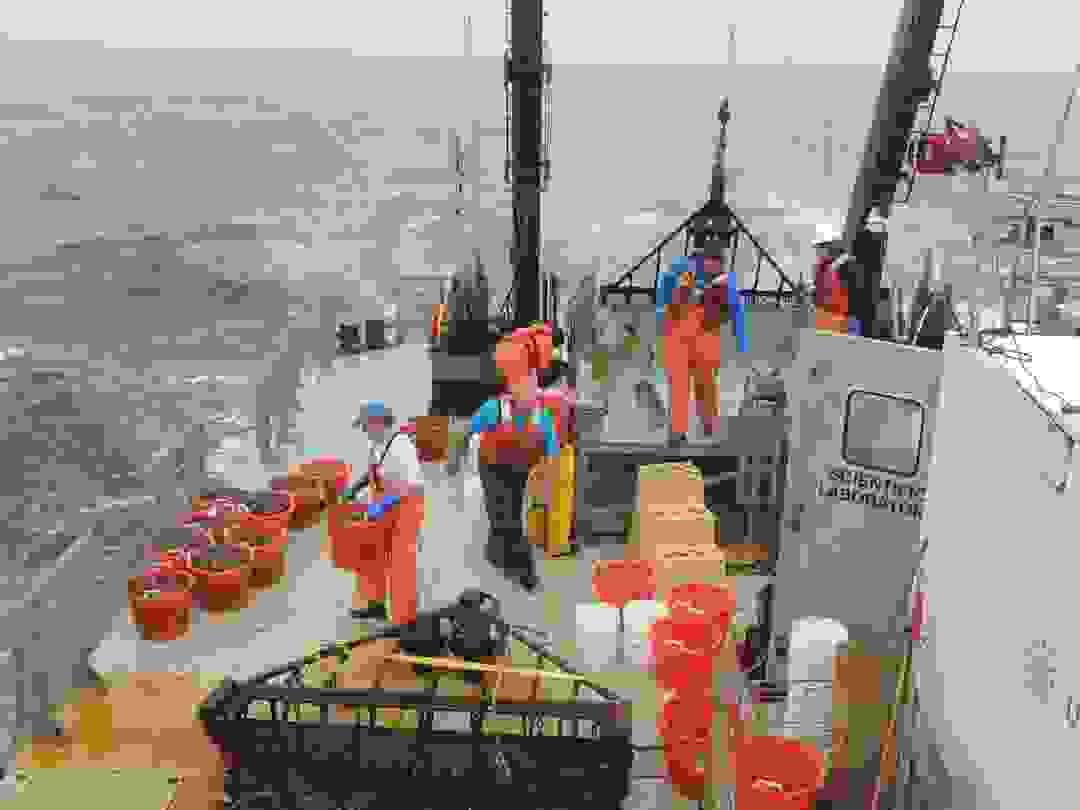 broken image