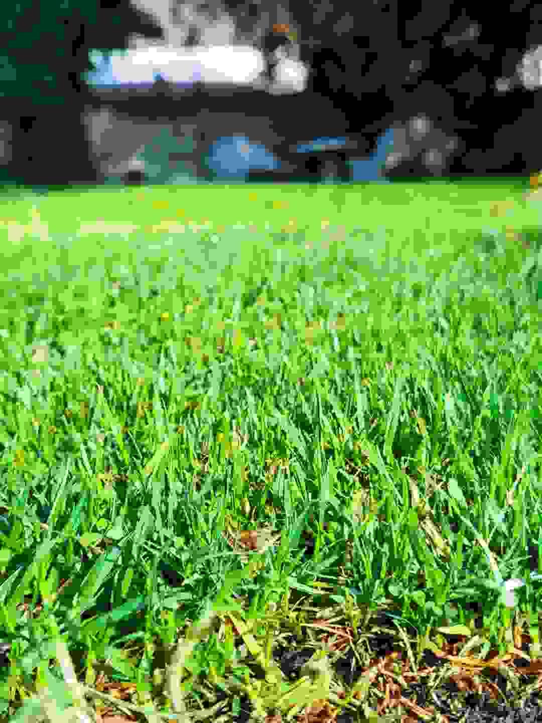 broken image