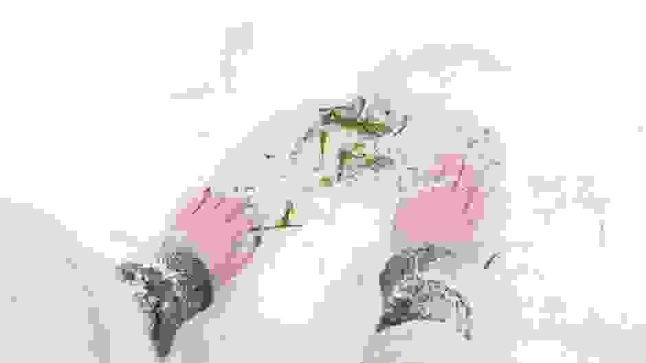 broken image