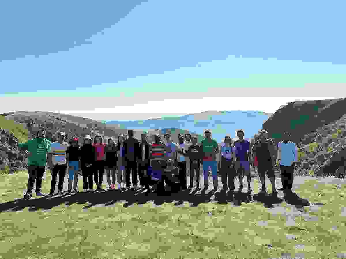 Section image