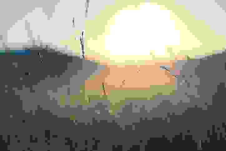 broken image