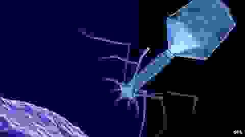 broken image