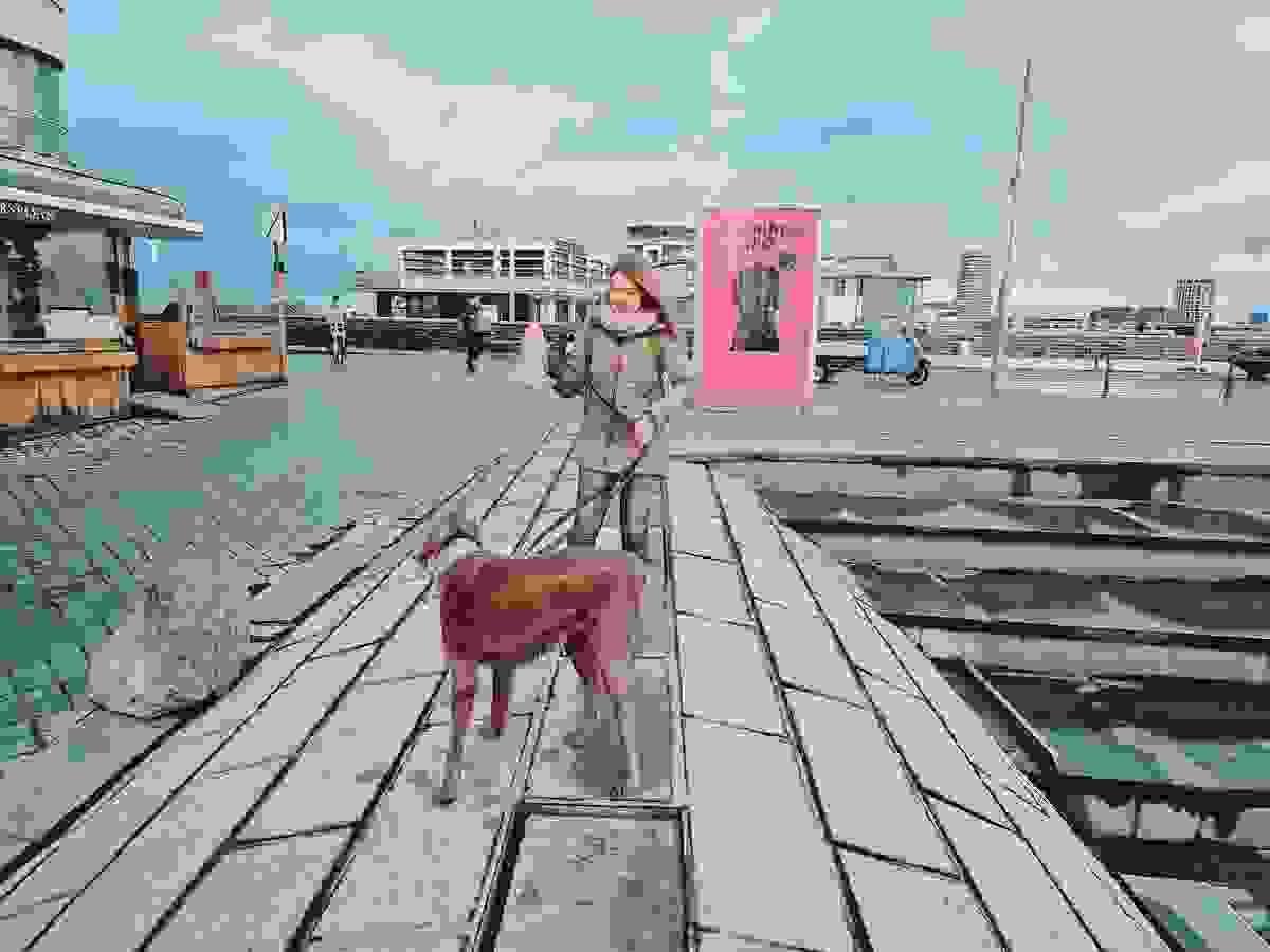 comment trouver un bon élevage de chiots. éducation canine Houffalize comment trouver un bon élevage de chiots. éducation canine Houffalize