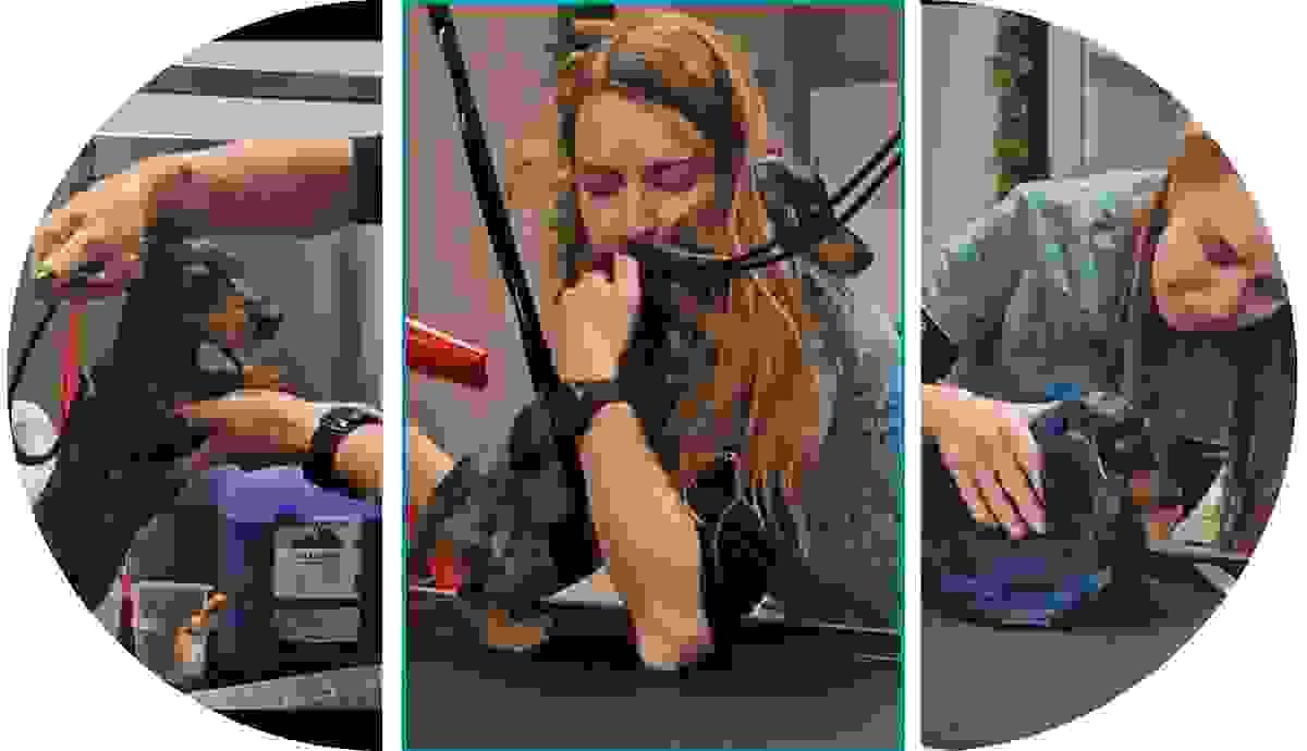 Medical training soin coopératif Wilogne Paws toilettage Houffalize Medical training soin coopératif Wilogne Paws toilettage Houffalize