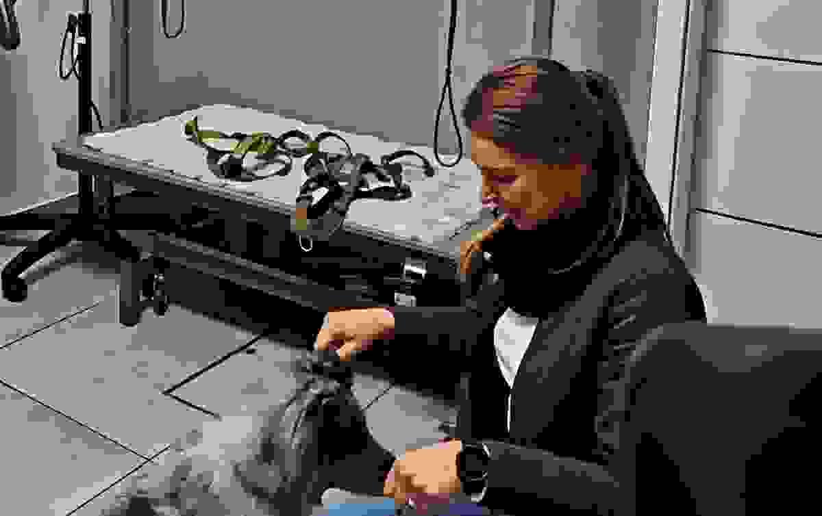 comment trouver un bon élevage de chiots. éducation canine Houffalize comment trouver un bon élevage de chiots. éducation canine Houffalize