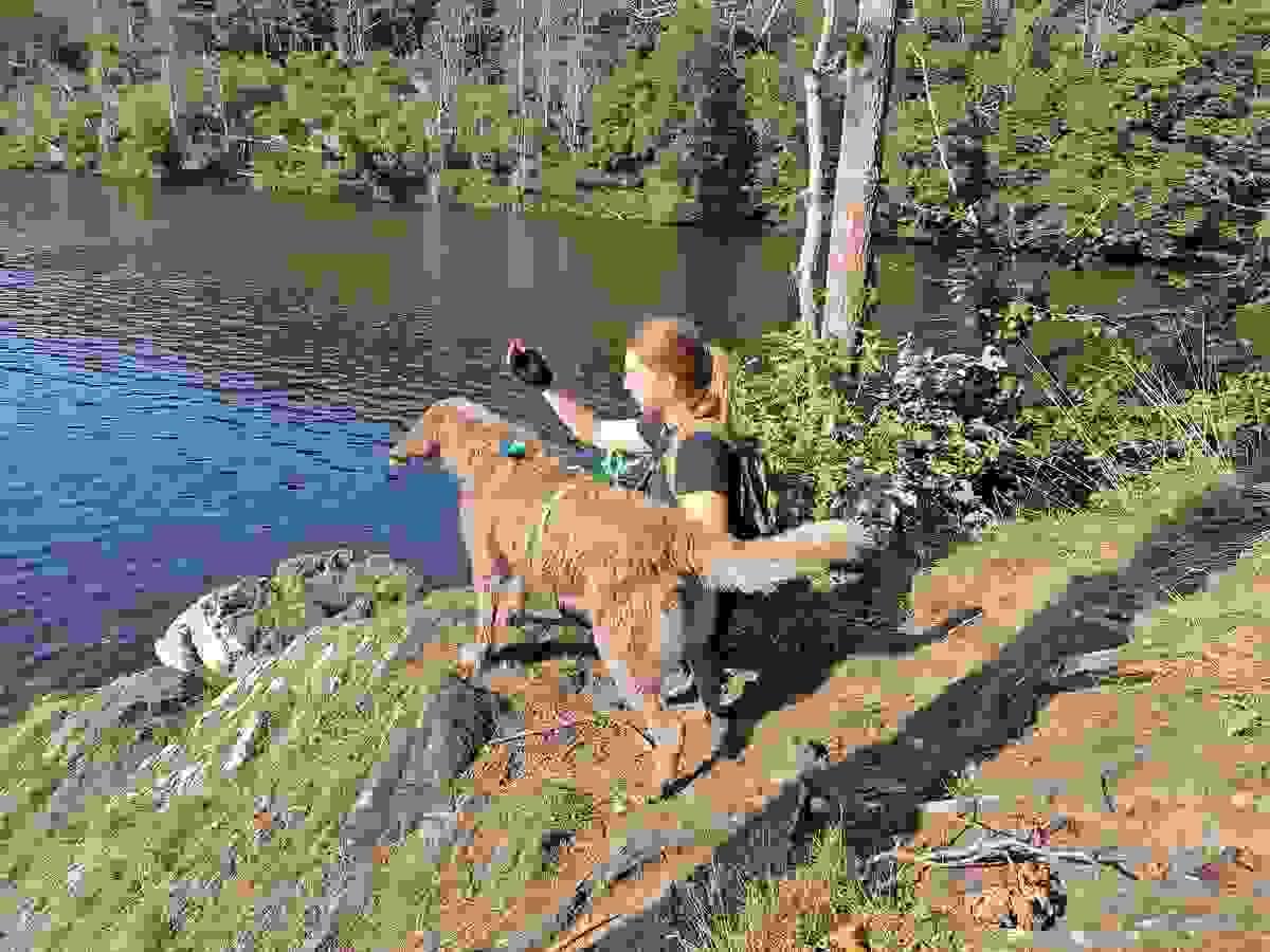 comment trouver un bon élevage de chiots. éducation canine Houffalize comment trouver un bon élevage de chiots. éducation canine Houffalize