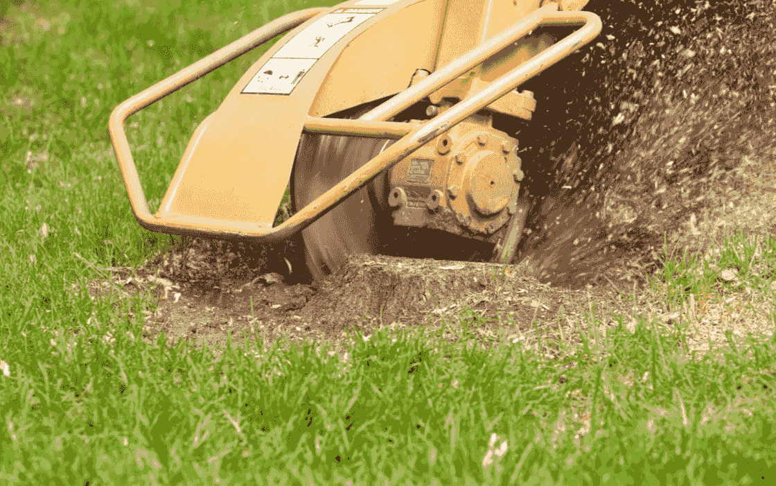 Tree Stump Removal Oceanside CA