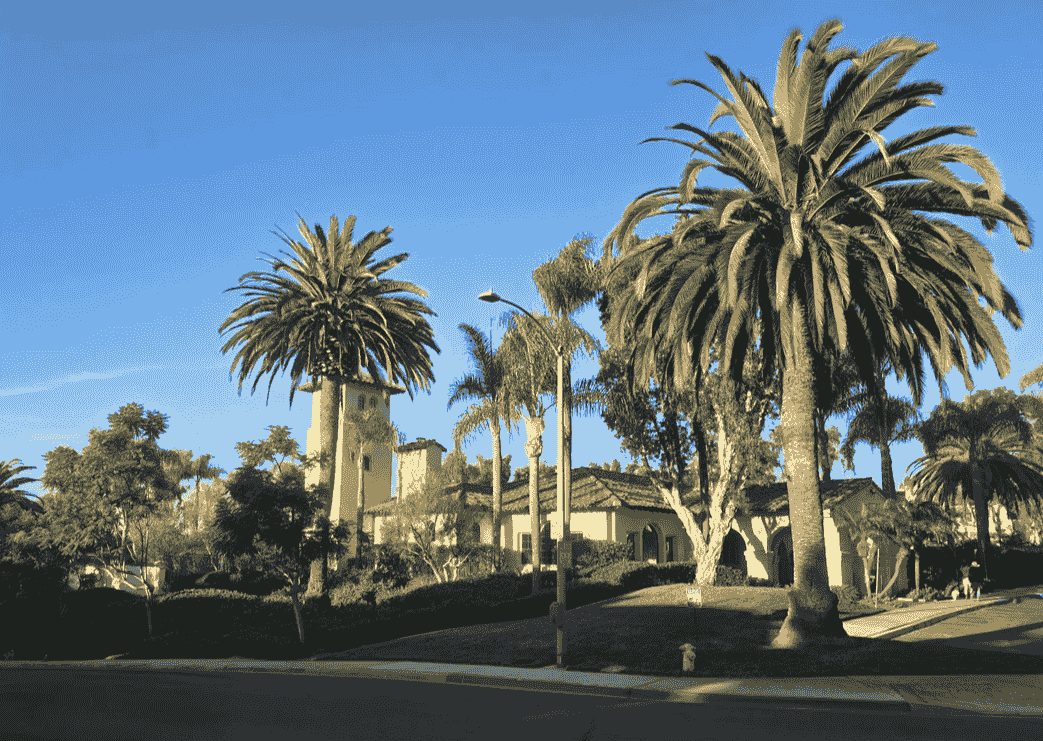 Commercial Tree Service Near Me