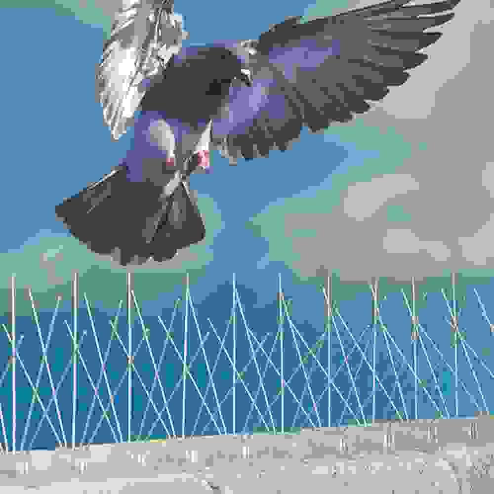 broken image