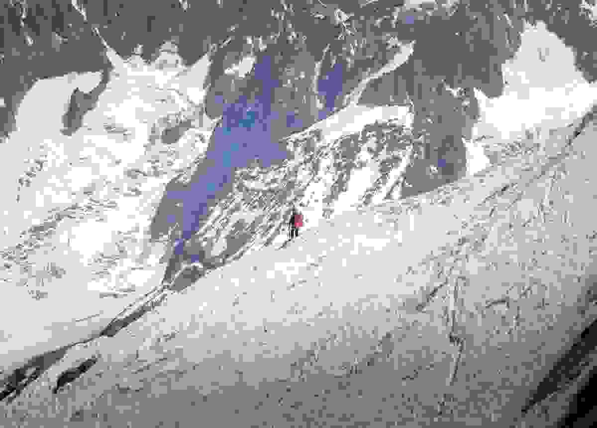 Section image