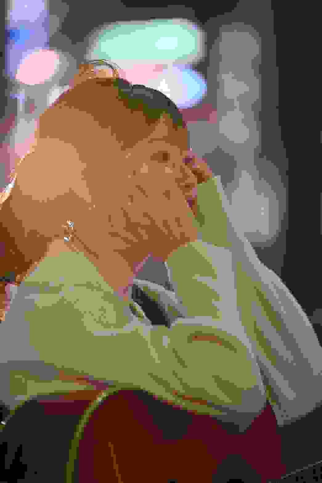 broken image