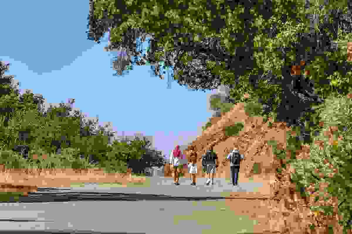 Section image