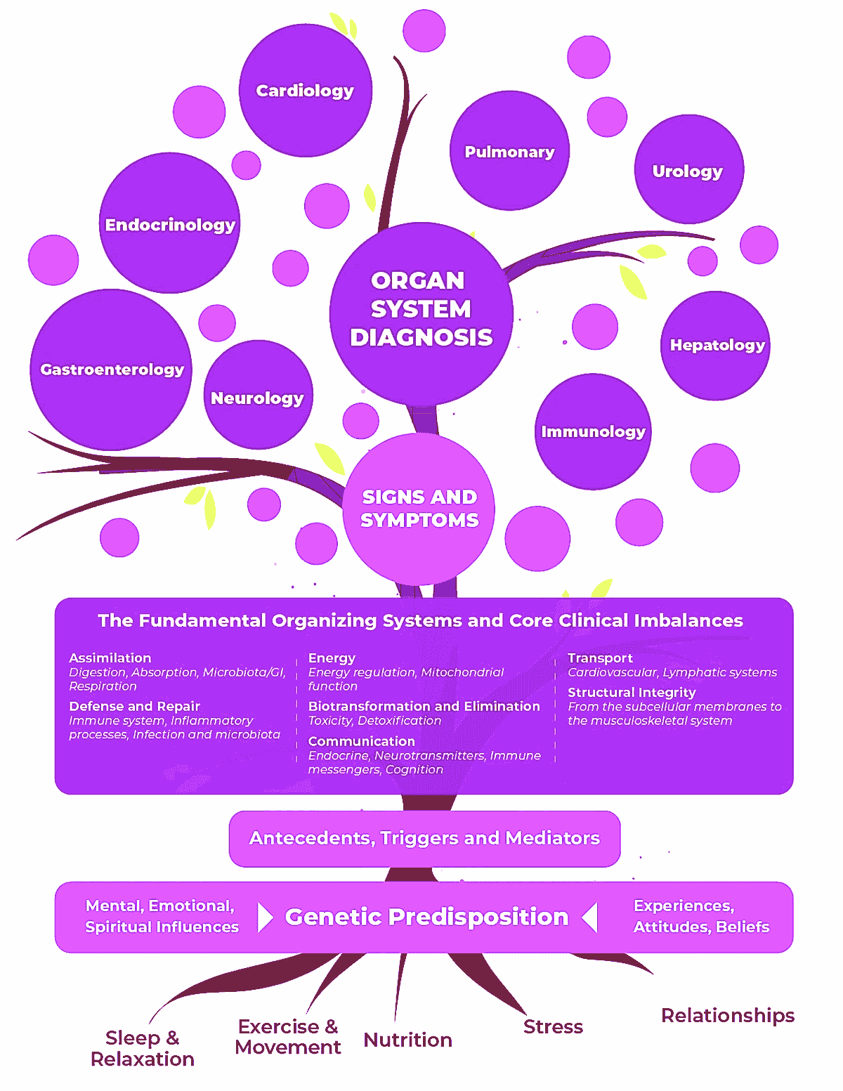 Explore Personalized Care at PHW Specialty Clinic Reclaim Your Health Today PHW Specialty Clinic is a boutique, concierge-style integrative medicine practice in Tysons, Virginia specializing in root-cause diagnostics, personalized treatment plans, and premium high-access care. We help busy professionals and individuals with chronic, complex, or hormone-related conditions reclaim their energy, vitality, and long-term health through a tailored, highly attentive medical experience. Explore Personalized Care at PHW Specialty Clinic Reclaim Your Health Today PHW Specialty Clinic is a boutique, concierge-style integrative medicine practice in Tysons, Virginia specializing in root-cause diagnostics, personalized treatment plans, and premium high-access care. We help busy professionals and individuals with chronic, complex, or hormone-related conditions reclaim their energy, vitality, and long-term health through a tailored, highly attentive medical experience.