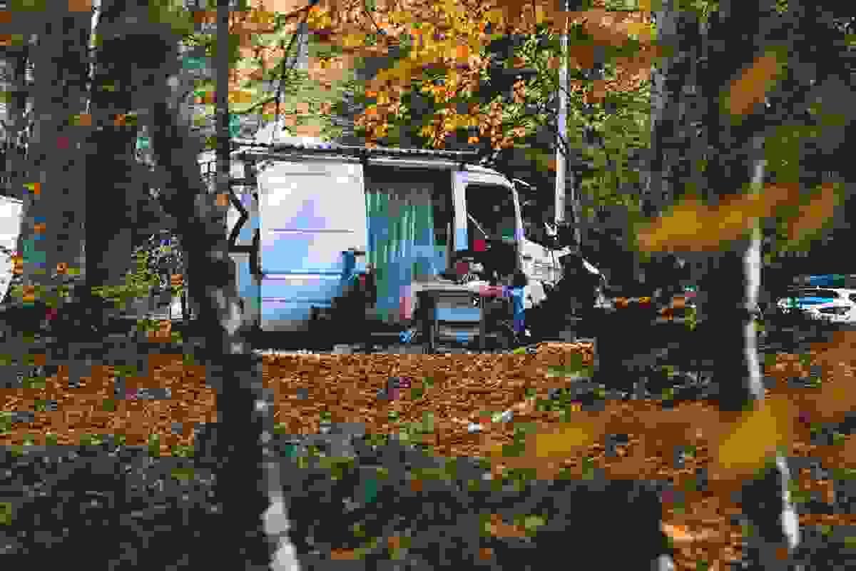 Section image