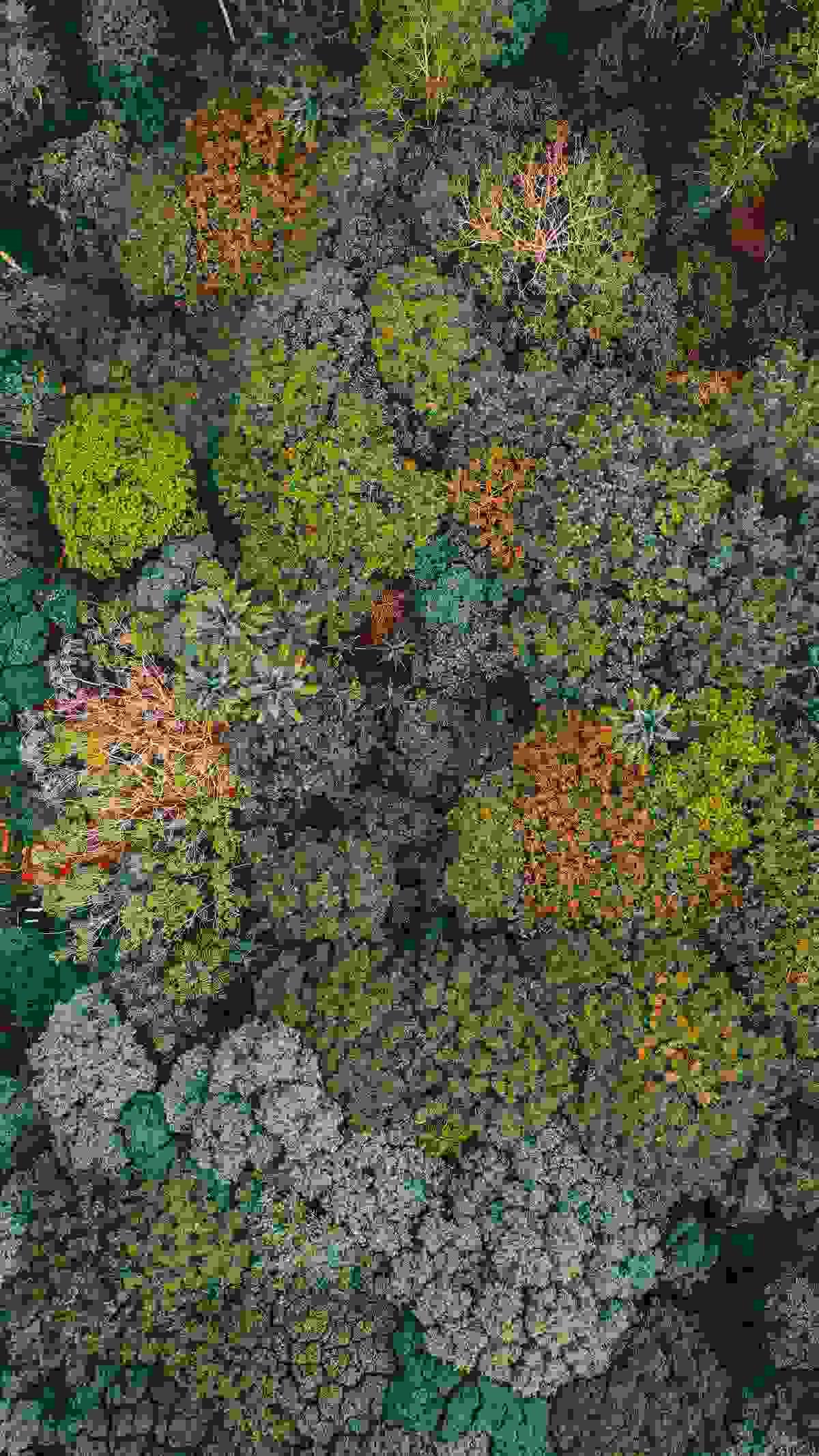 Section image