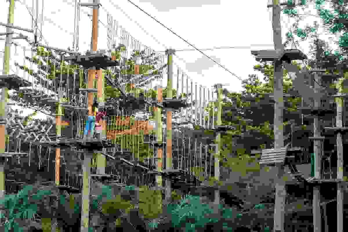 Section image