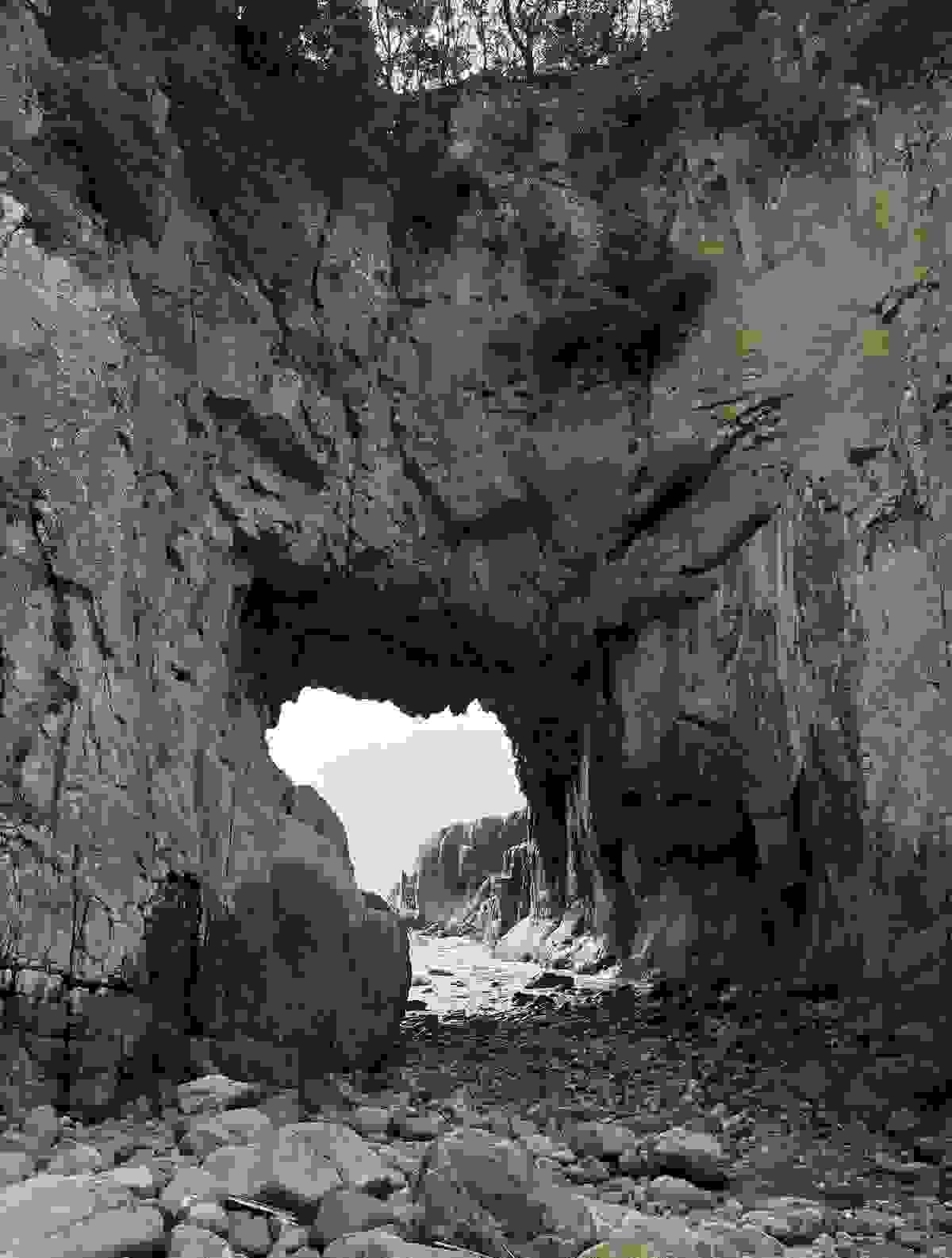 Section image