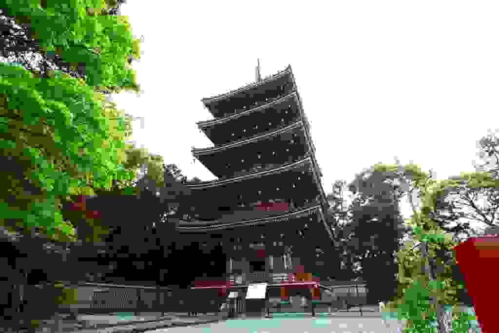 Section image