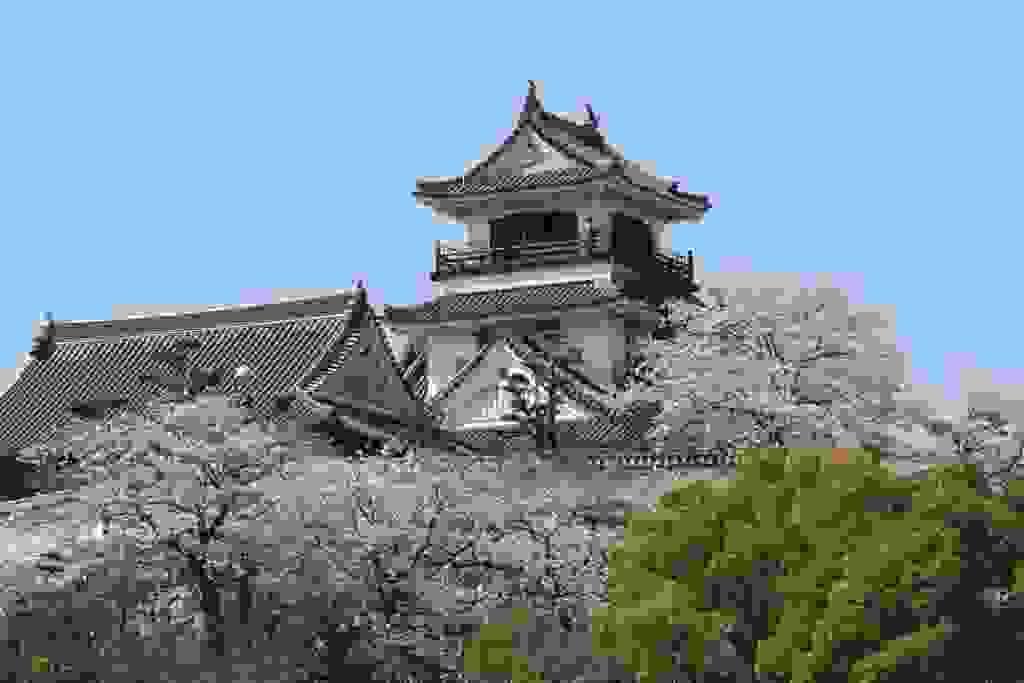 Section image