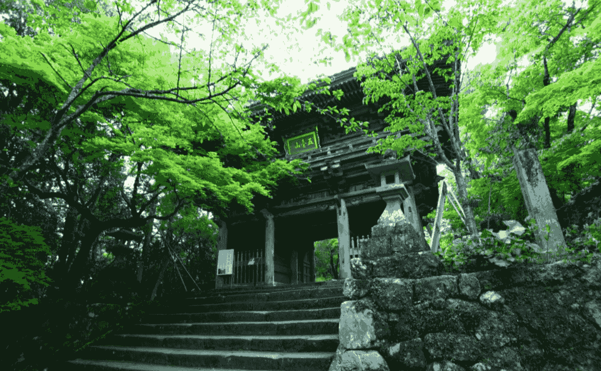 Section image