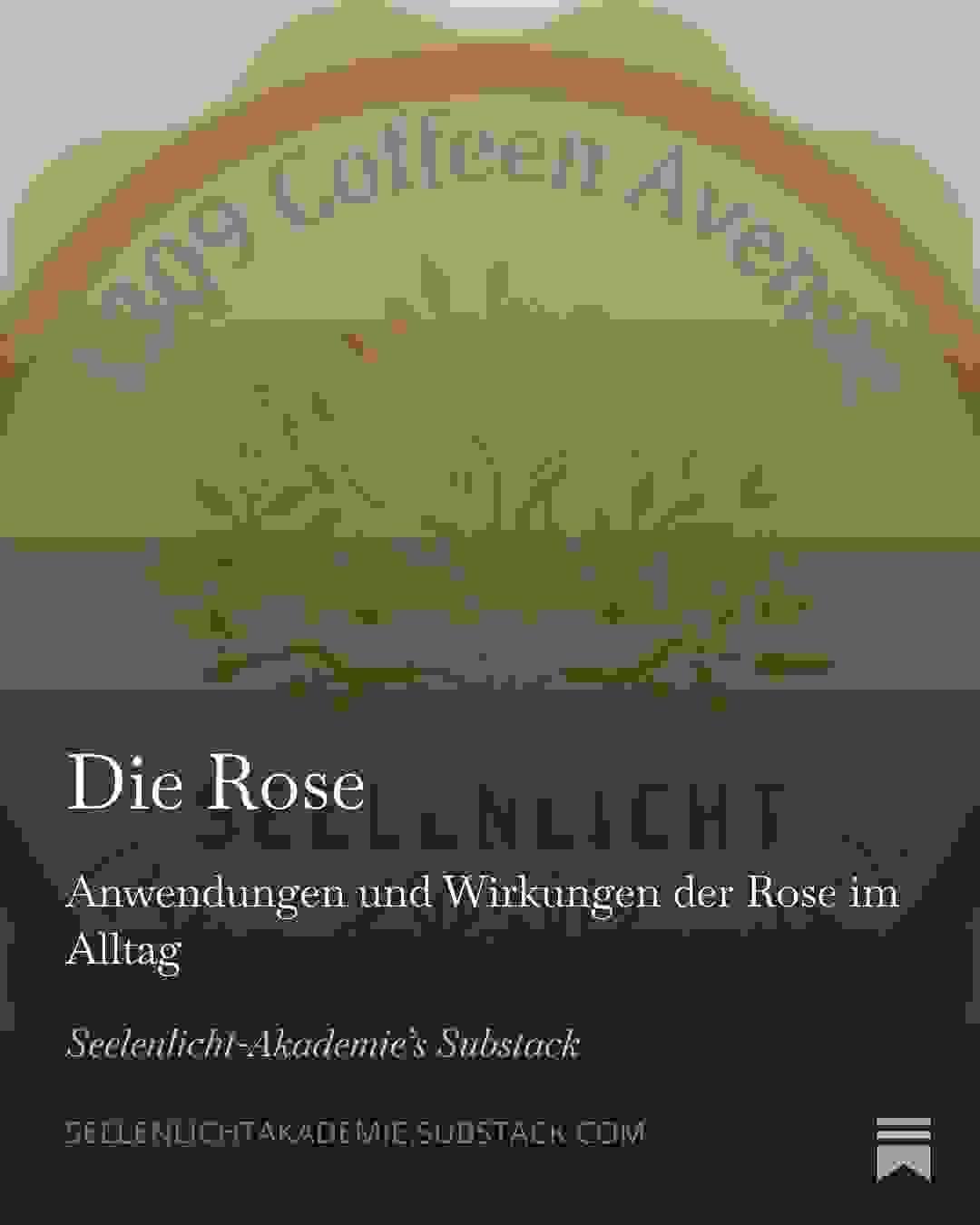 https://open.substack.com/pub/seelenlichtakademie/p/die-rose?r=6d73xu&utm_campaign=post&utm_medium=web&showWelcomeOnShare=true https://open.substack.com/pub/seelenlichtakademie/p/die-rose?r=6d73xu&utm_campaign=post&utm_medium=web&showWelcomeOnShare=true