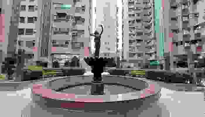 broken image