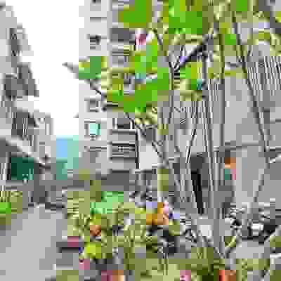 美墅家-實價登錄、成交行情-新店安坑-新店區安康路三段561巷,總樓高10樓,共51戶-新店房仲推薦-新店中古屋 美墅家-實價登錄、成交行情-新店安坑-新店區安康路三段561巷,總樓高10樓,共51戶-新店房仲推薦-新店中古屋