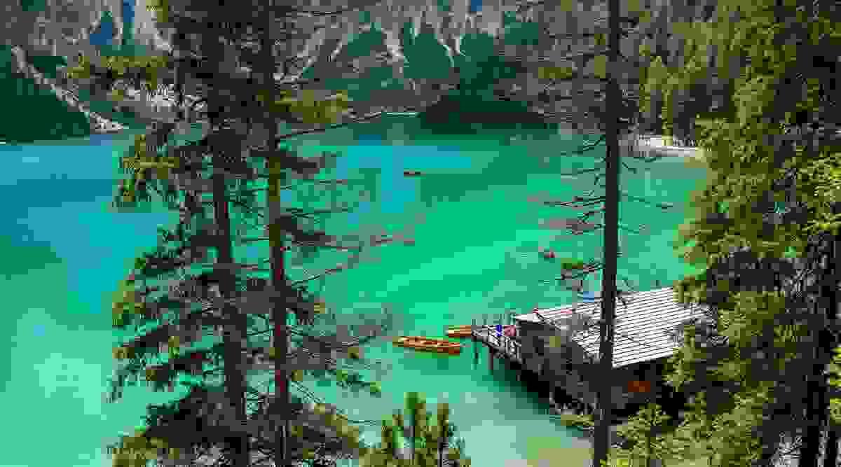 broken image