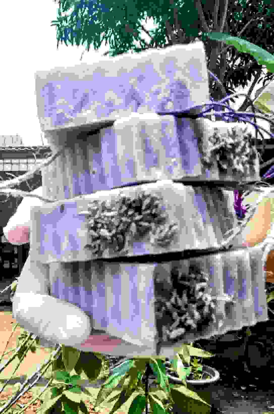 broken image