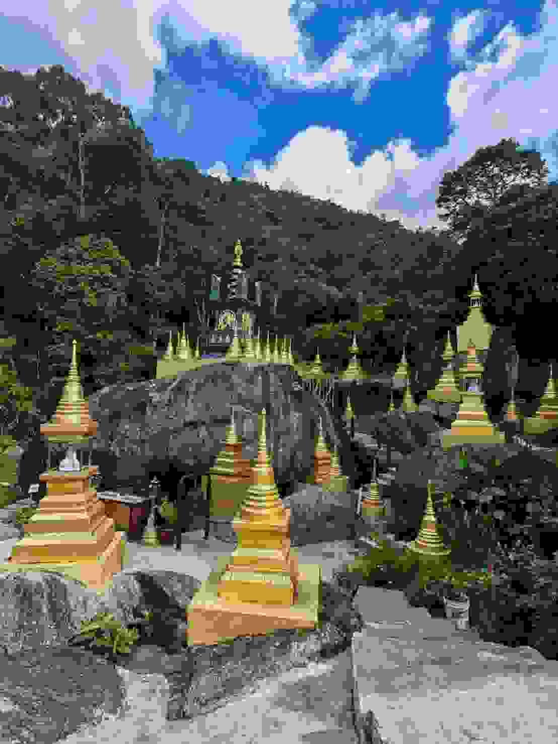 Section image