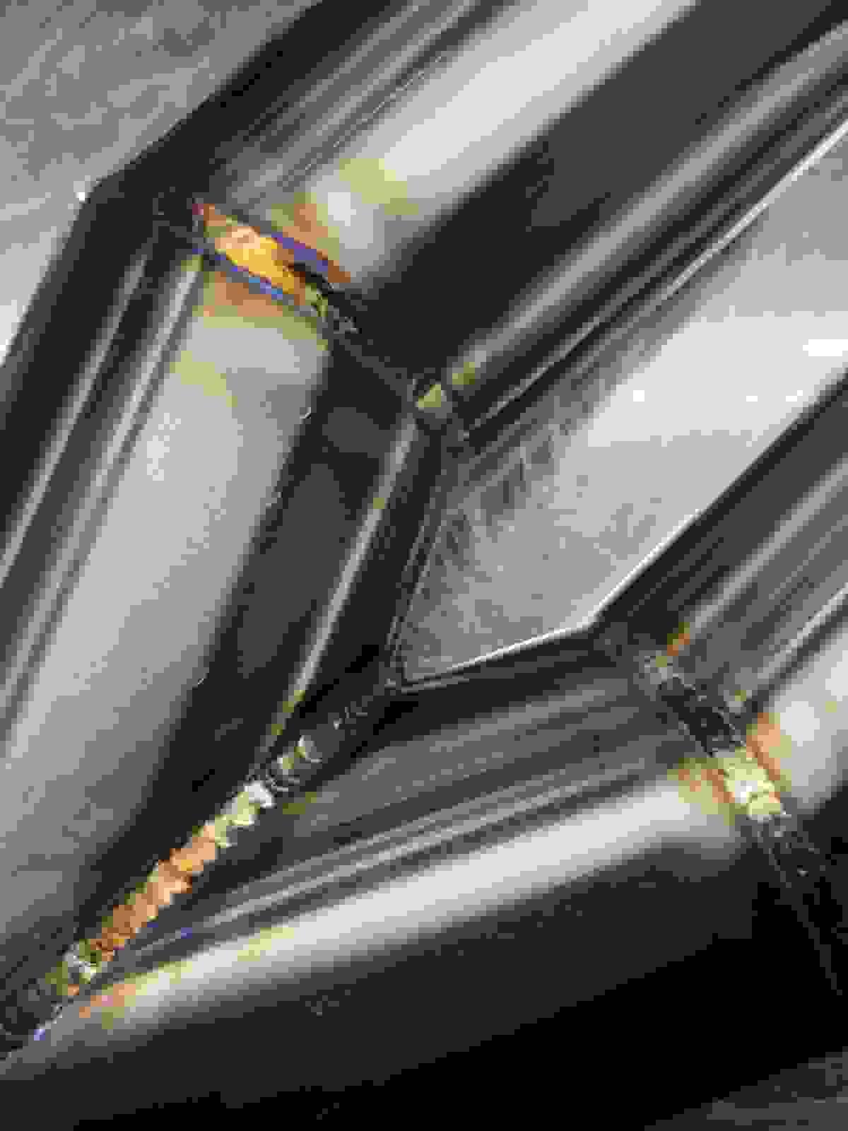 Section image