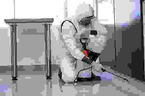 broken image