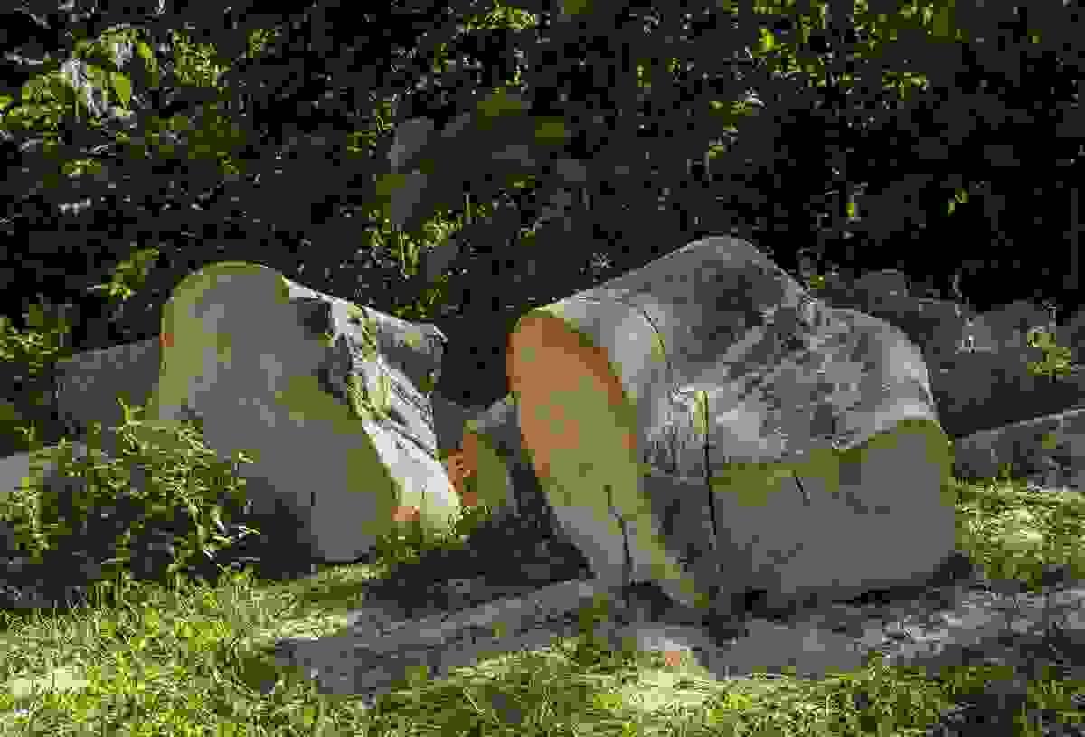 broken image